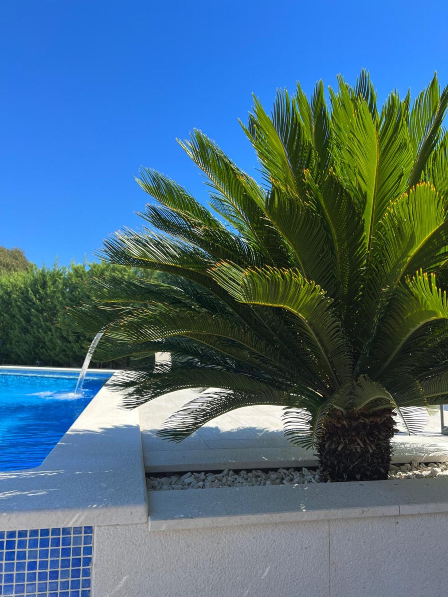 טרוגיר Holiday Luxury Resort Sundance מראה חיצוני תמונה